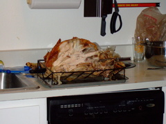 Thanksgiving 2006.