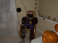 Halloween 2001