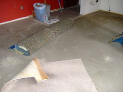 Removing carpet goes quickly, revealing the concrete floor.