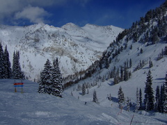 Pictures from the Snowbird Ski Area