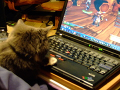 Forrest plays World of Warcraft