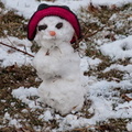 Snowman-14.jpg