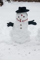 0103 snowman098