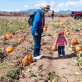 Lucy and the Pumkin Patch -2