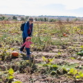 Lucy and the Pumkin Patch -3