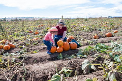 Lucy and the Pumkin Patch -9