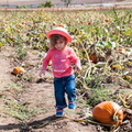 Lucy and the Pumkin Patch -29